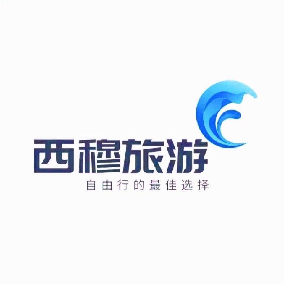 🚦青 甘 川 藏 新疆西藏领队小周