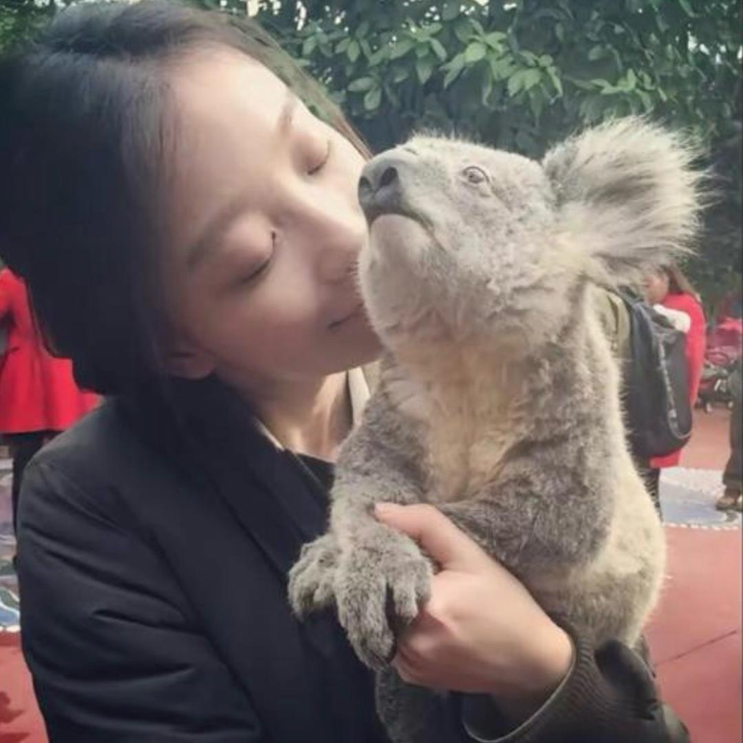 可爱贤