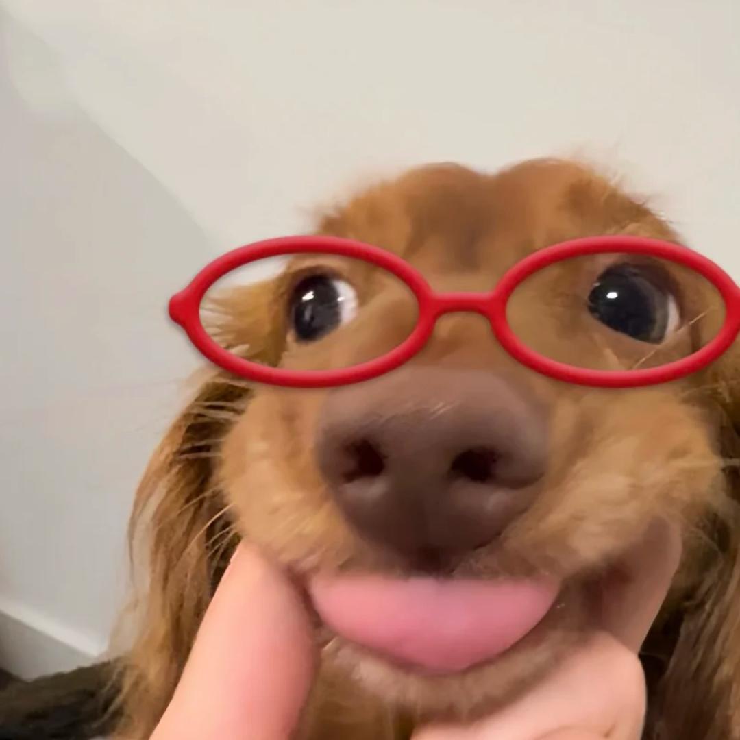 田