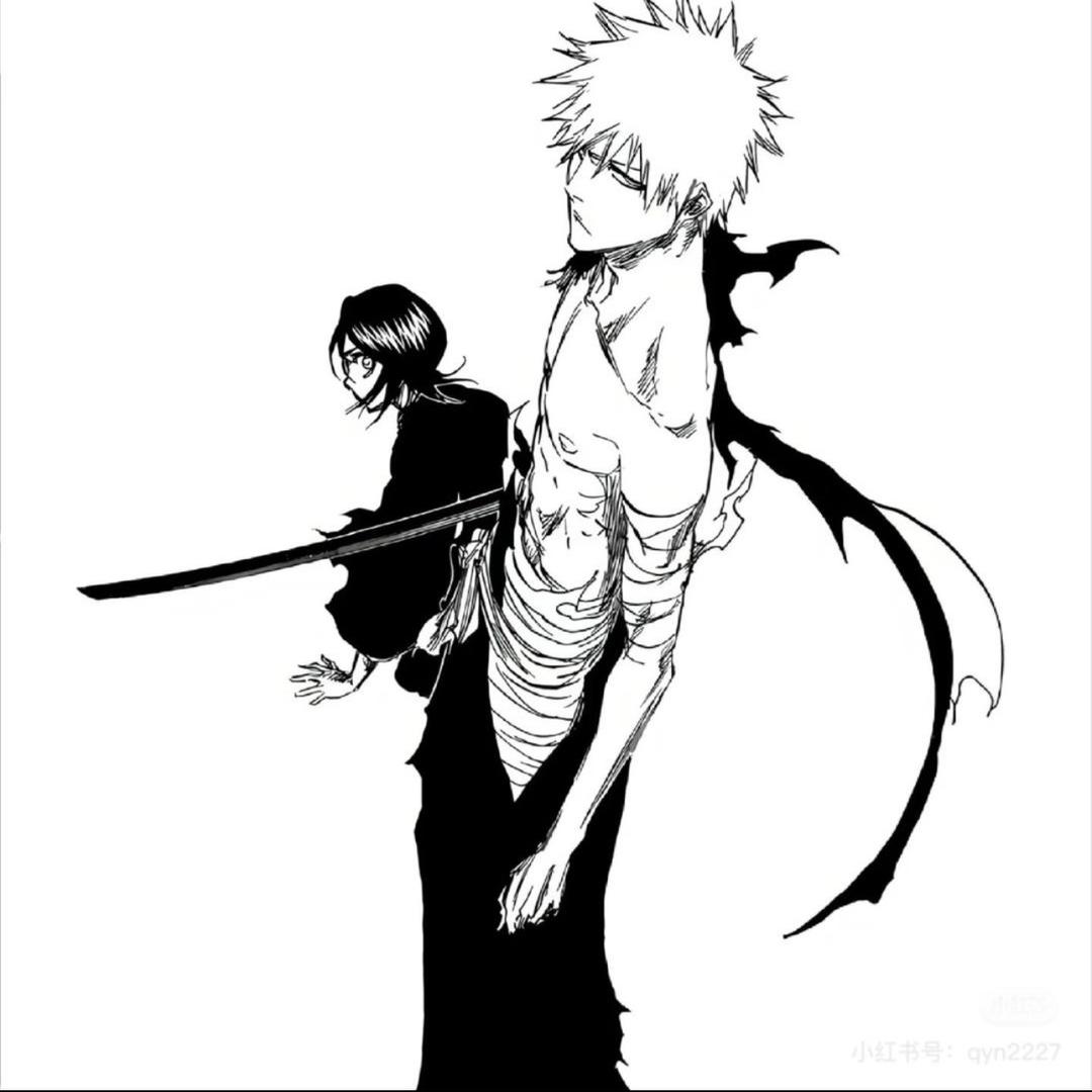 王老吉牌的加多宝