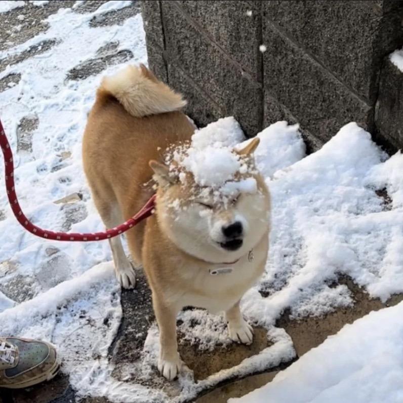 院 里