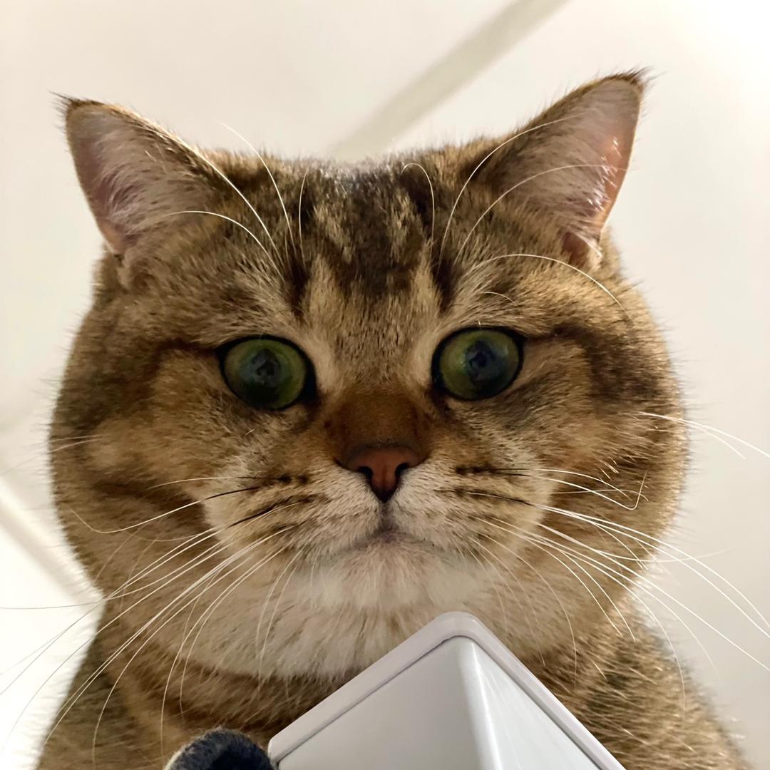 啊哈