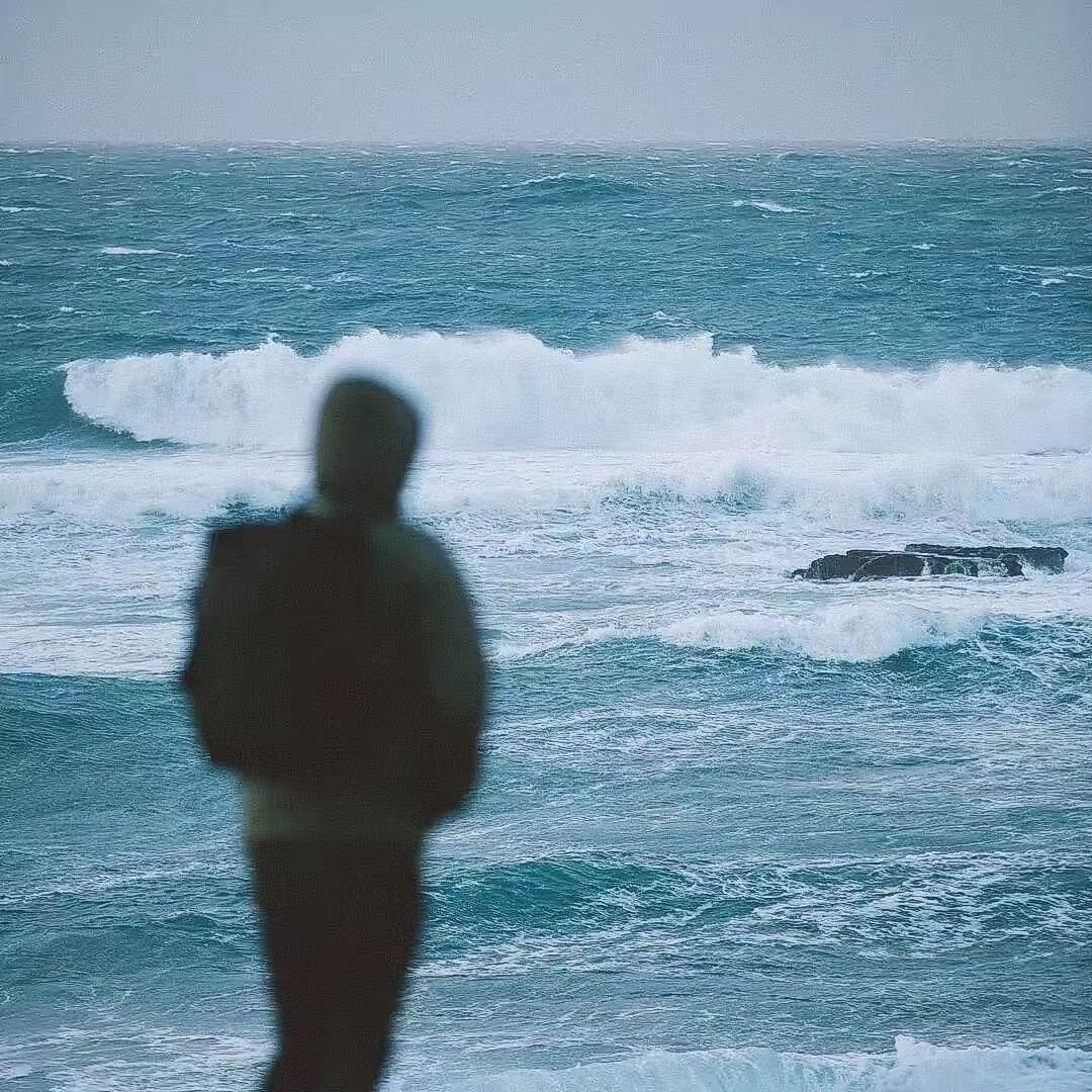 陳橙橙