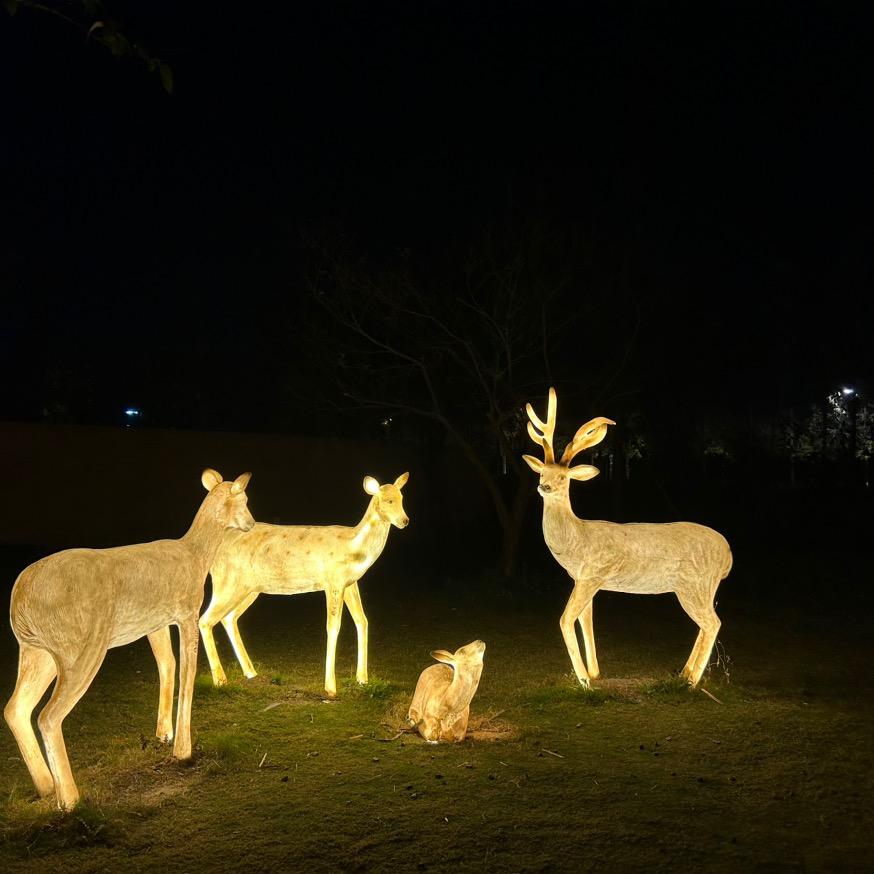 🦌小鹿小鹿乱撞