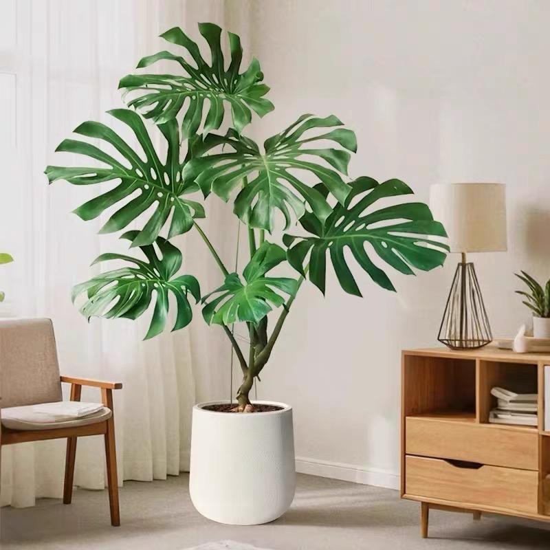 小森林花卉绿植花海园艺