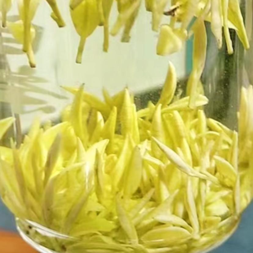 专心做好茶🍃🍵