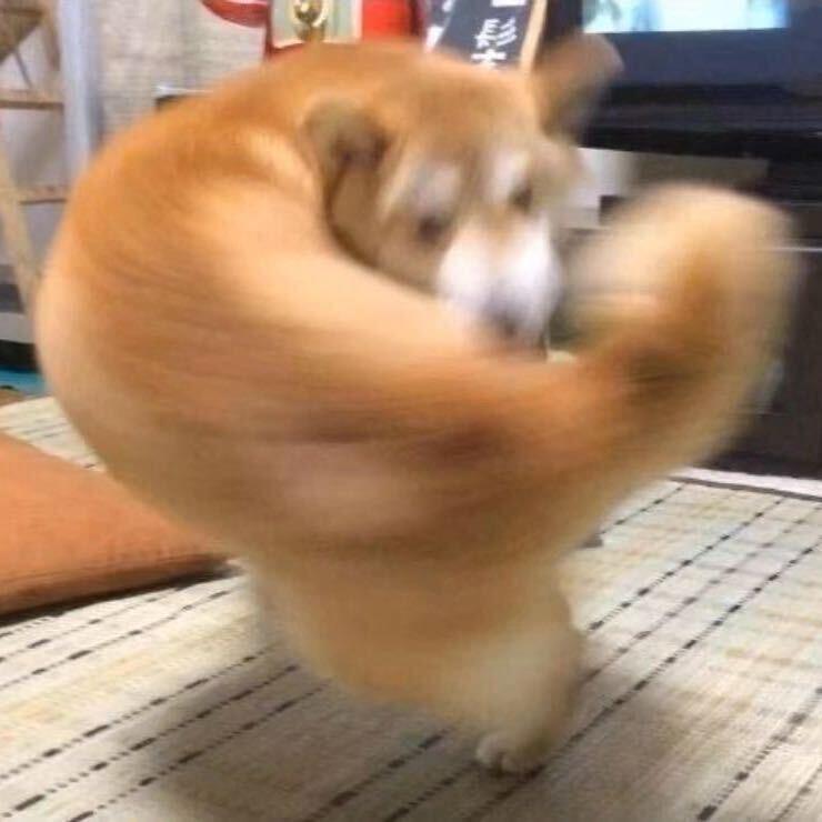 排骨汤面啊