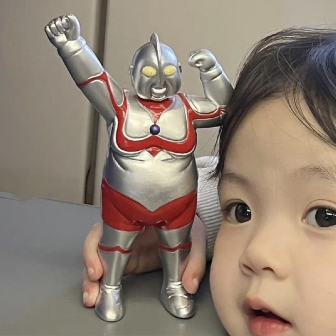 我不是肉丸