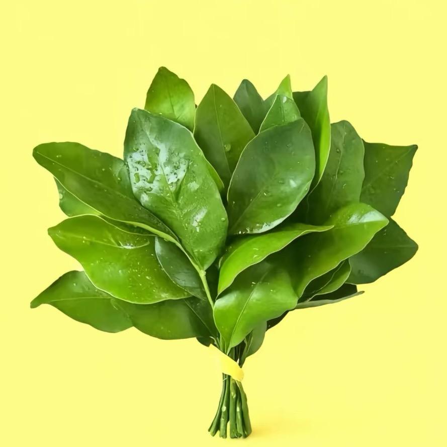 萍ル°