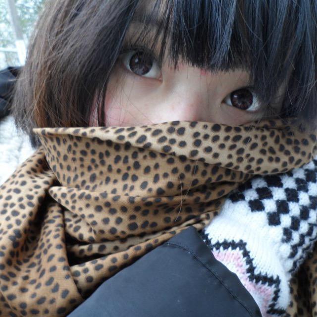 猫猫