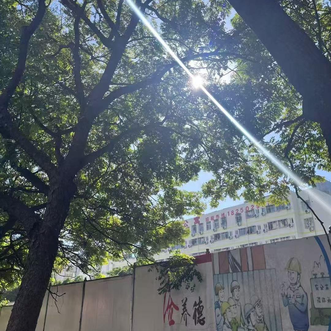 在睡亿分钟.😪