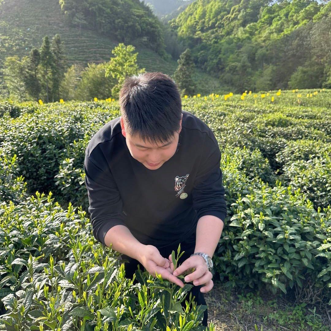 小老表（卖茶叶糊口的)