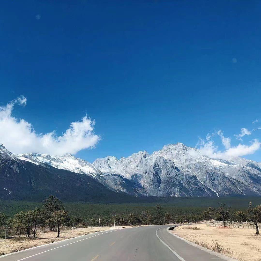 小青蛙来财来财