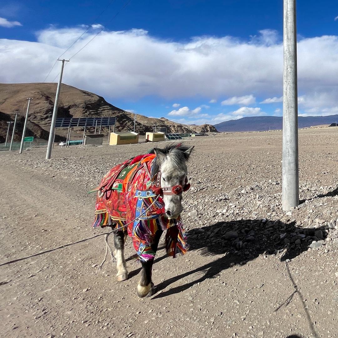  ཉི་  ༒ མ་ ༒