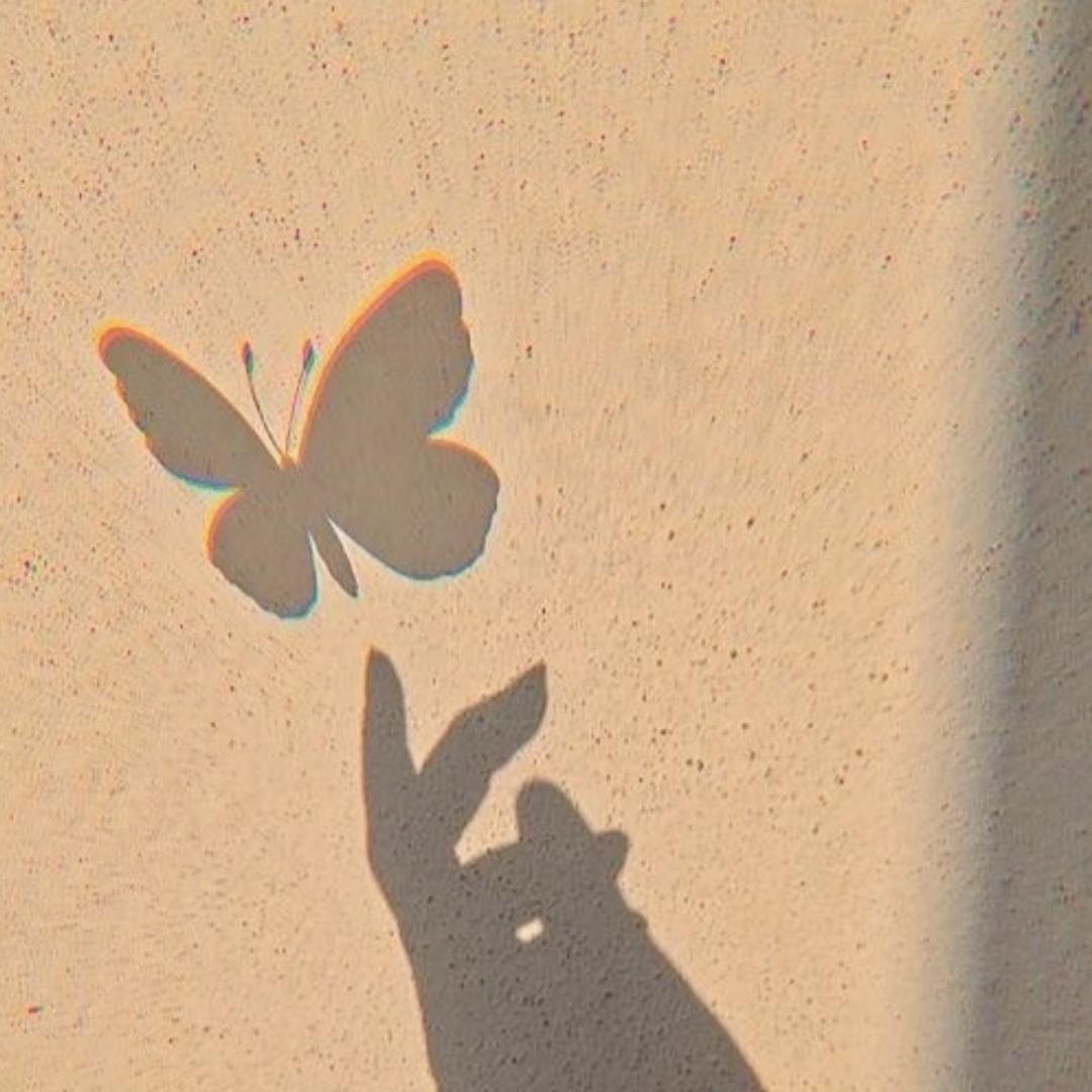 不废YY姐❤