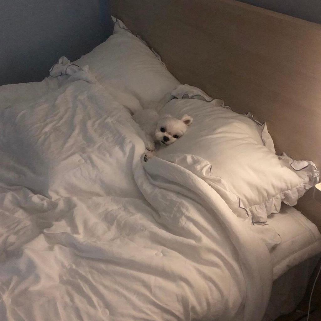再也不熬夜.