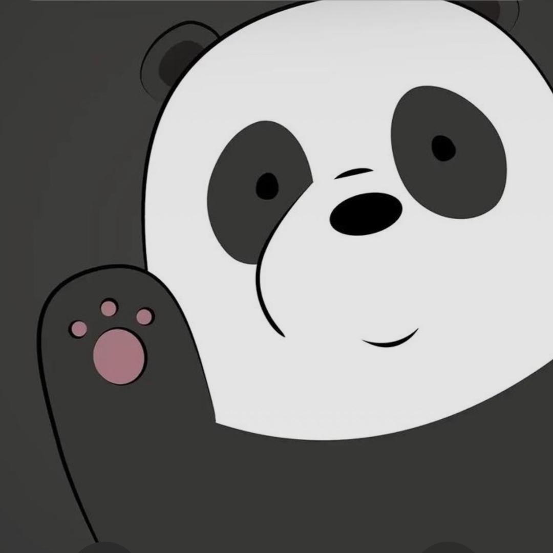 白色的小熊