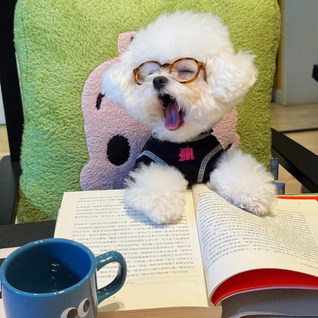 菠萝蜜菠萝菠萝蜜