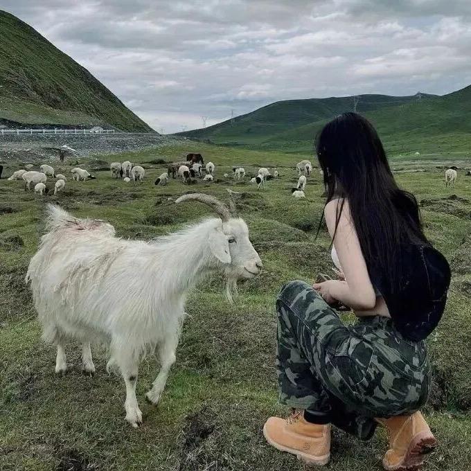 挑彡拣亖