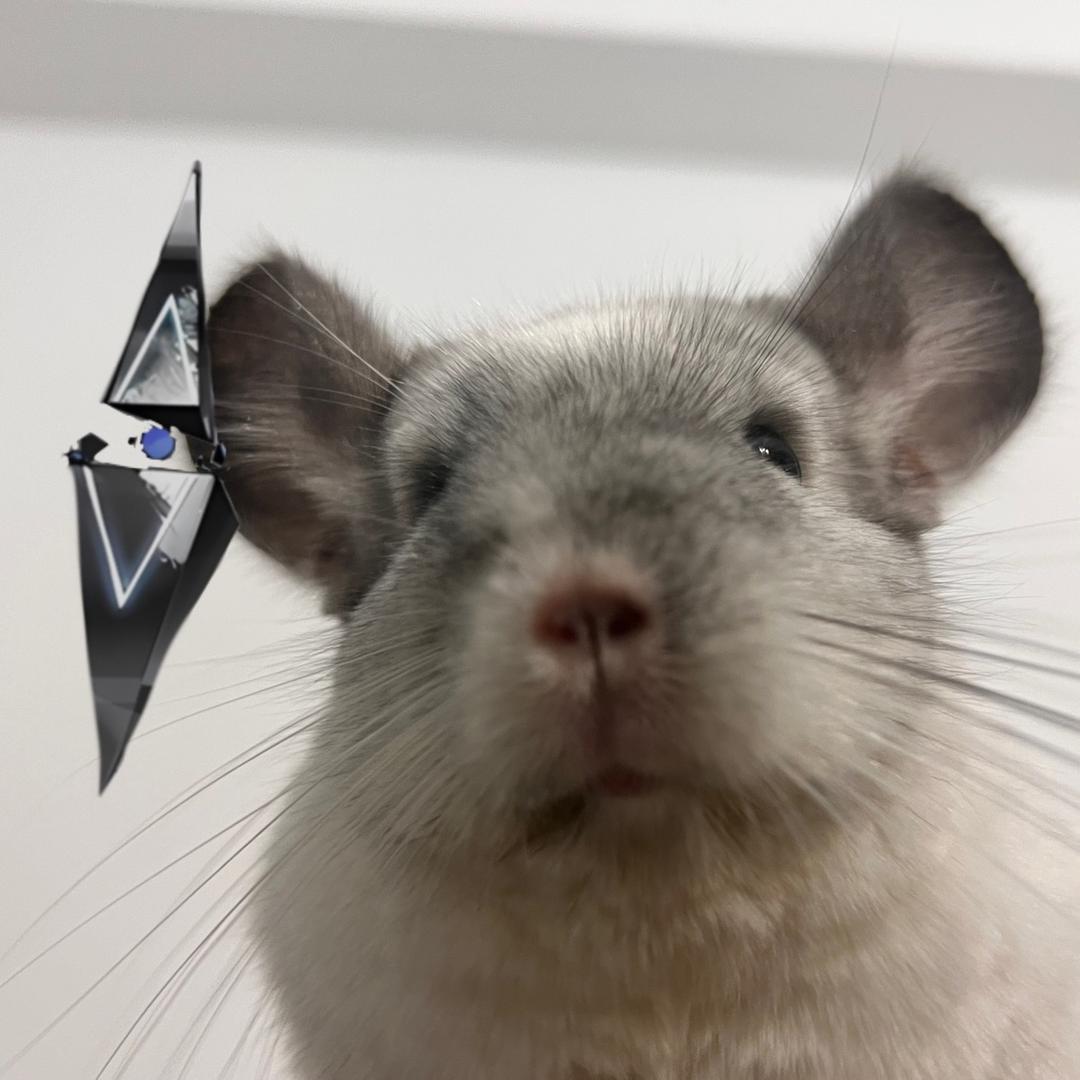 UG（上庭备考版