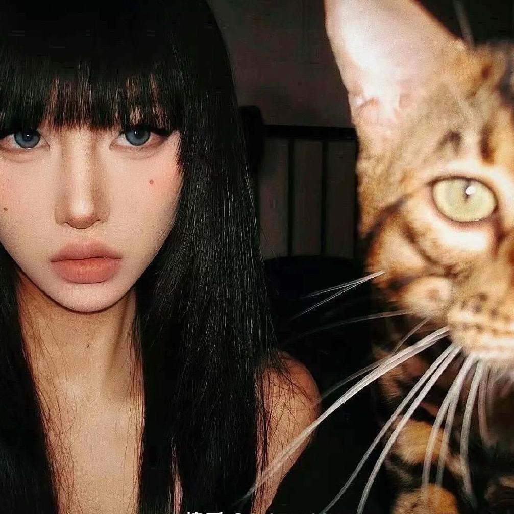 想养一只修猫
