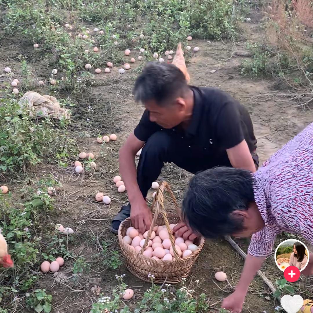 廖帅新农人