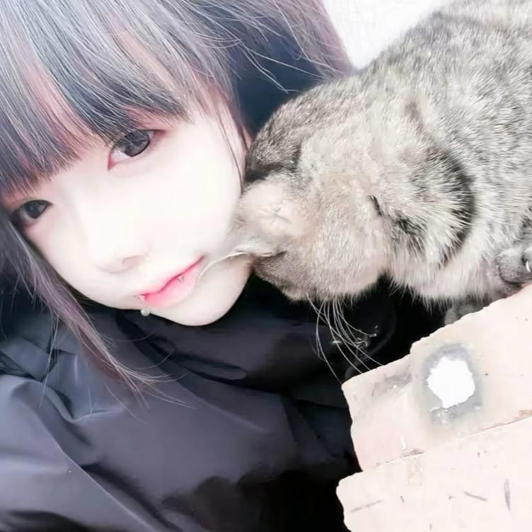 泣̋