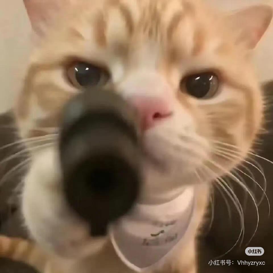 加我免费送无畏