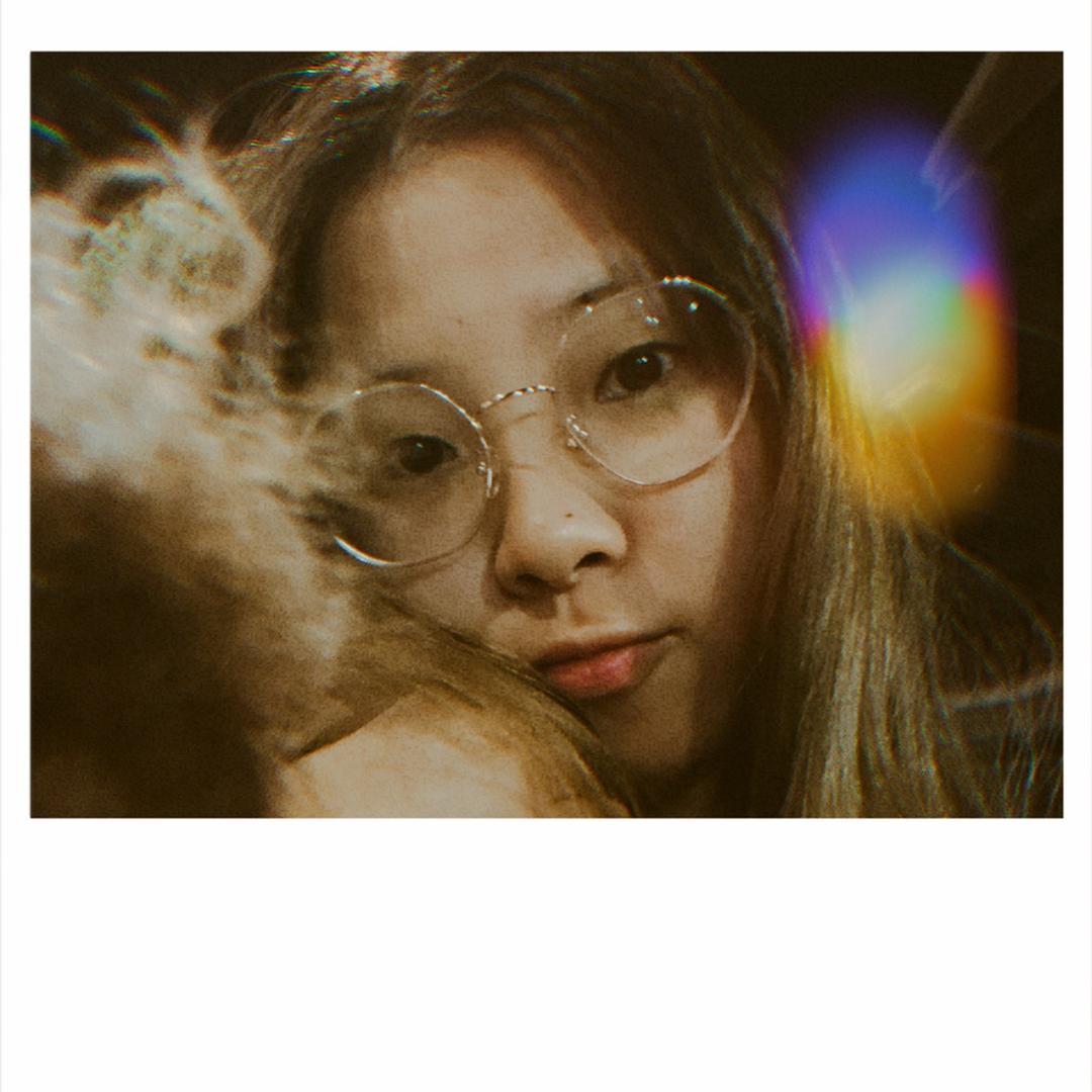 皮皮探渝