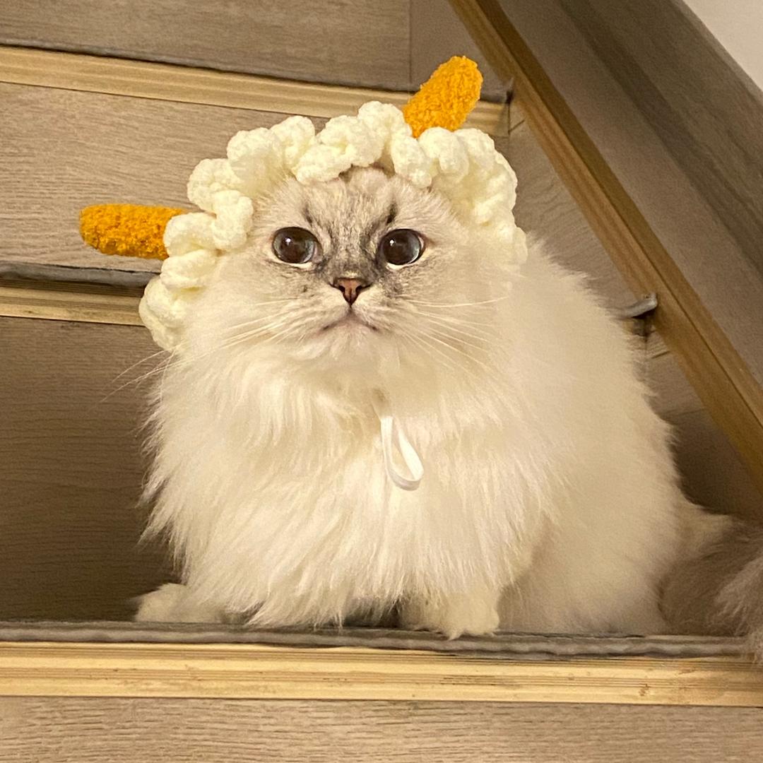 ☀️小太阳☀️