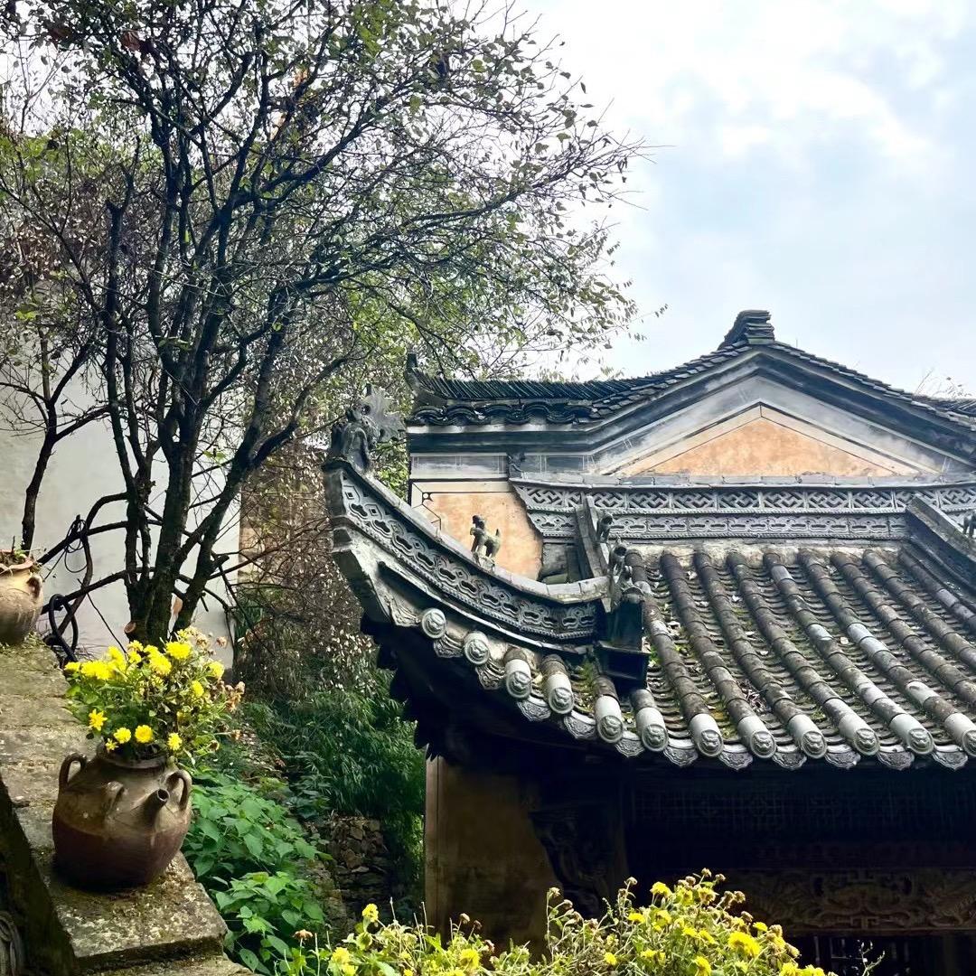 阳光锅锅