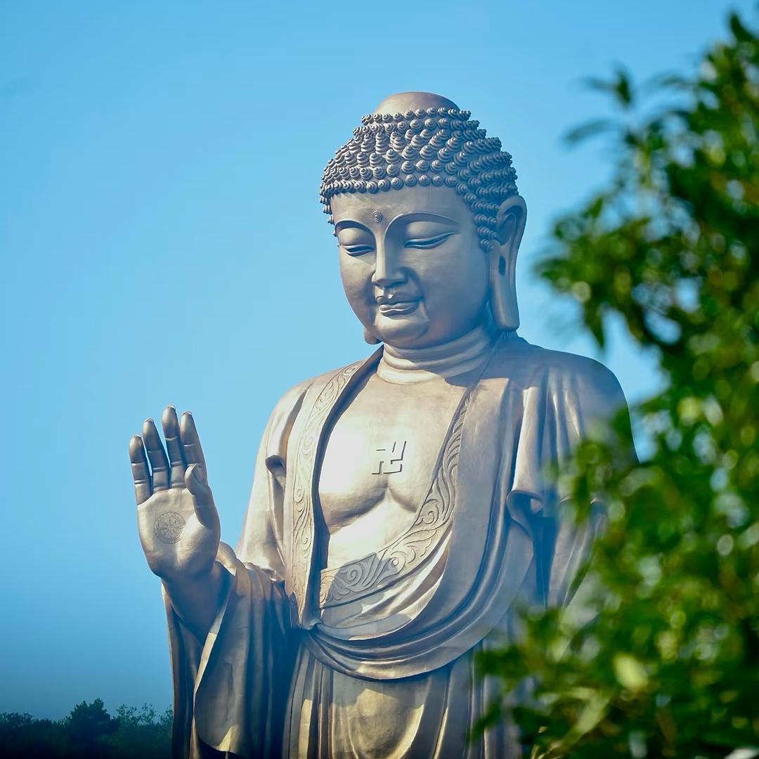 莲心阁流通处