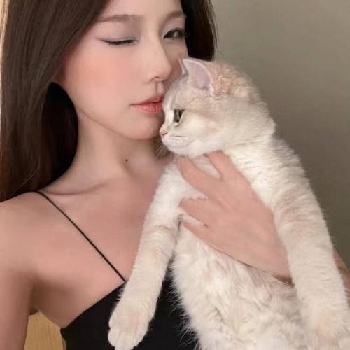 反派小猫