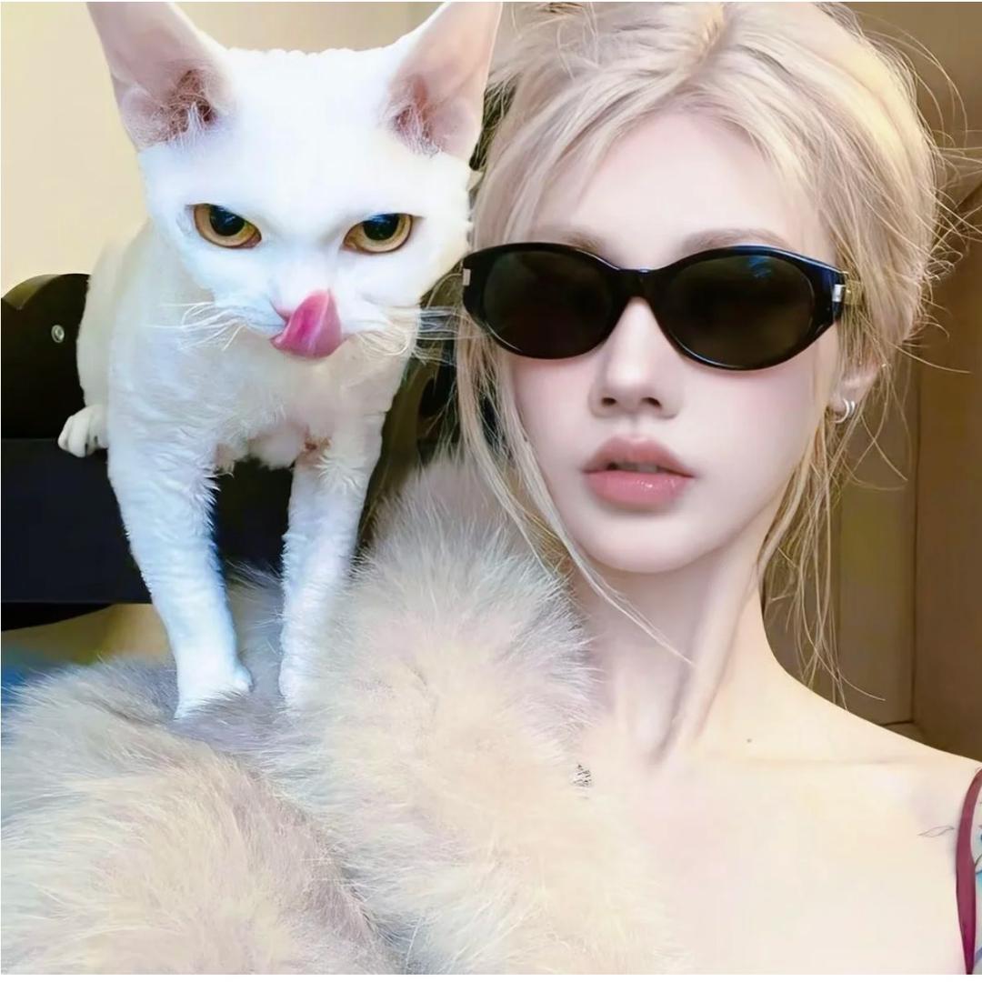 ᑋᵉᑊᑊᵒꉂ ・ ༚ ・ ིྀต੭