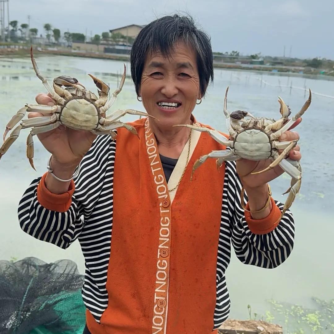 胡姐阳澄湖大闸蟹