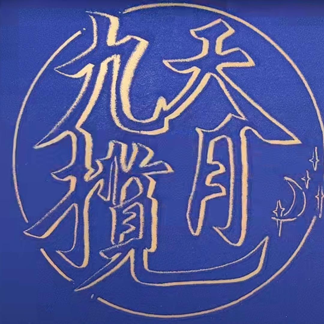 九天揽月