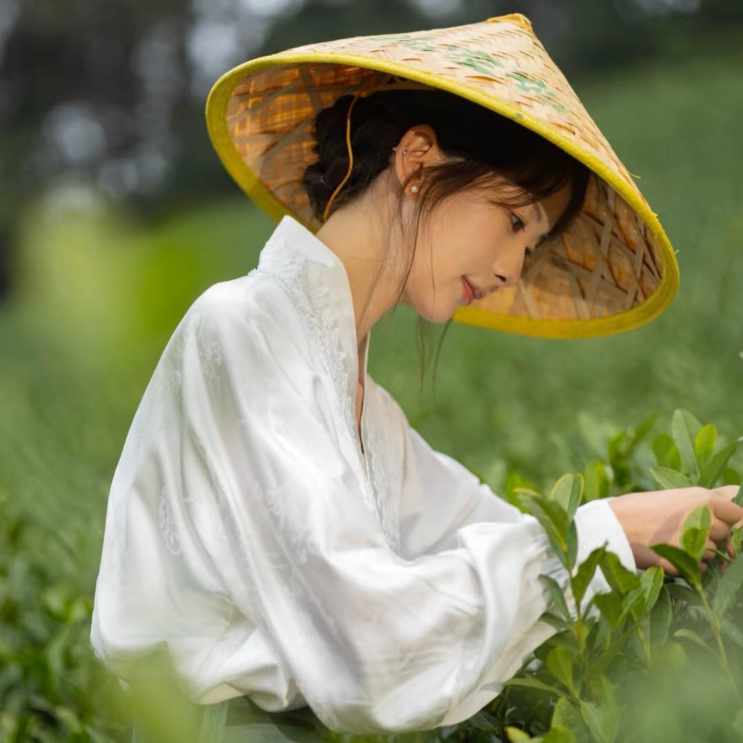 崂山小歌茶叶