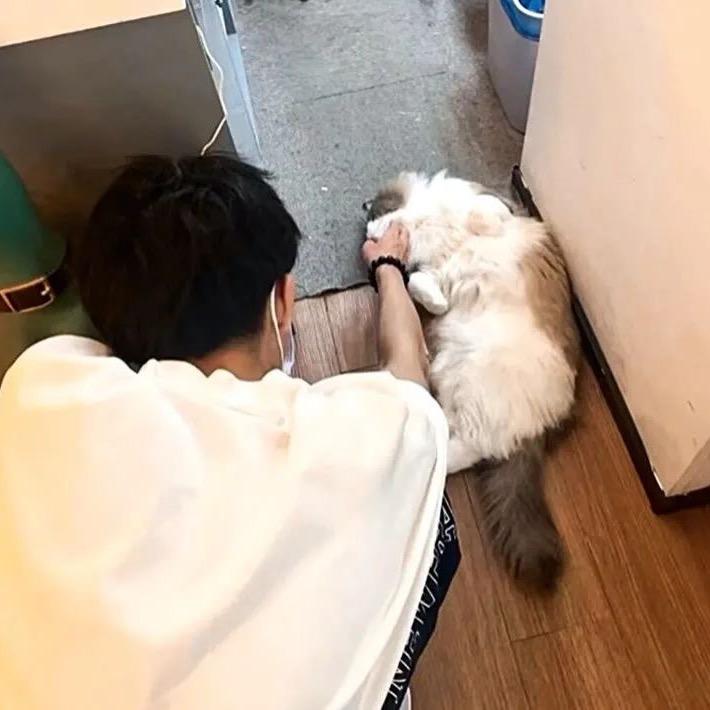夏日