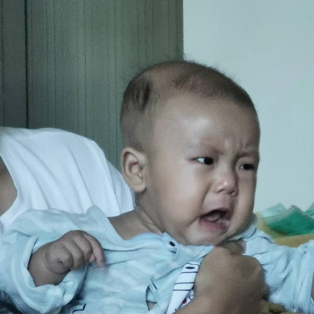 无糖去冰。。椰果棒（考证版）