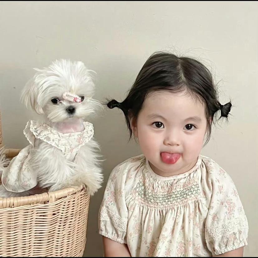 木子姐姐