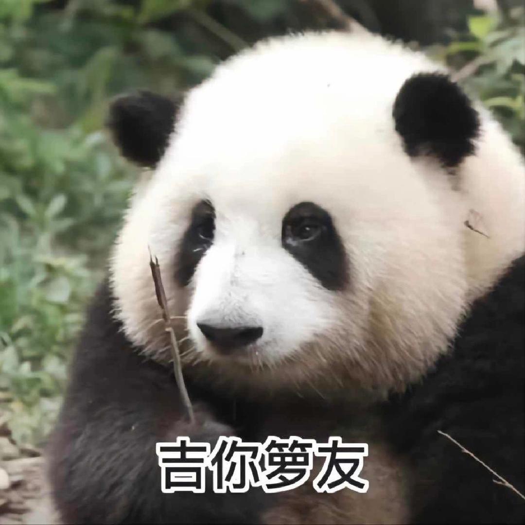 墨雨无痕灬头像