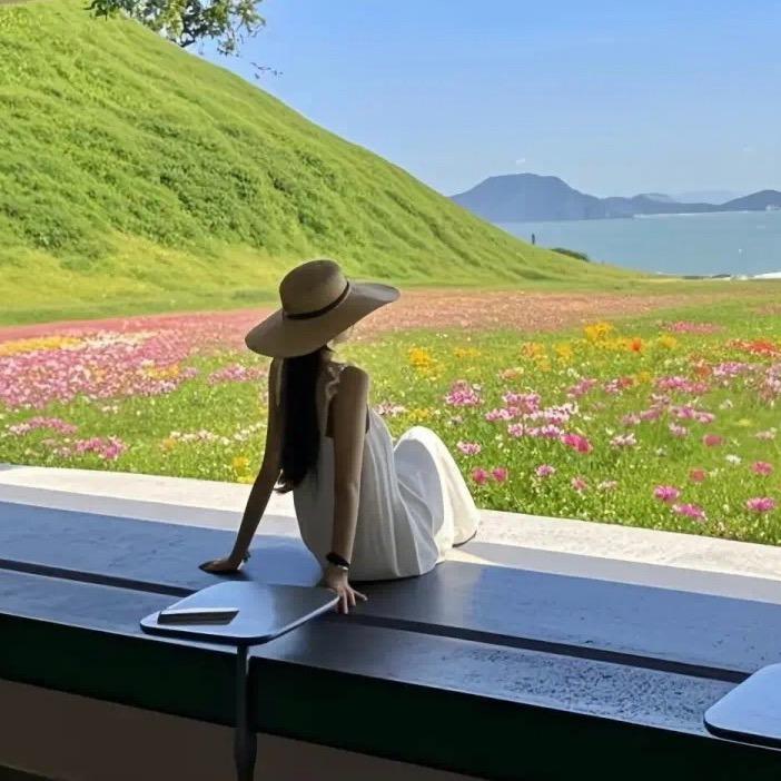 好柿朵朵