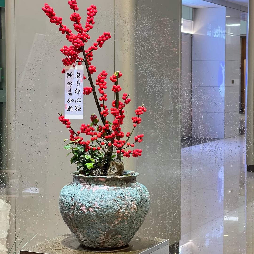 虾老板《花卉盆景园林》