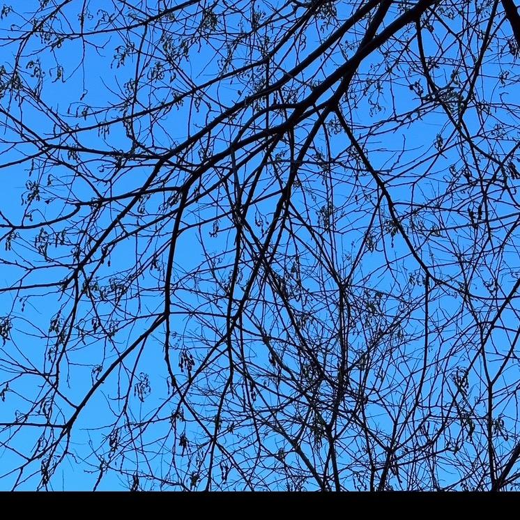 他们都叫我蜀黍