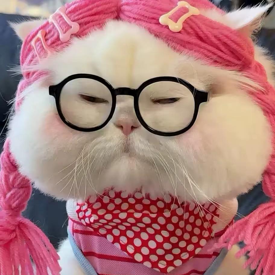 王佳.