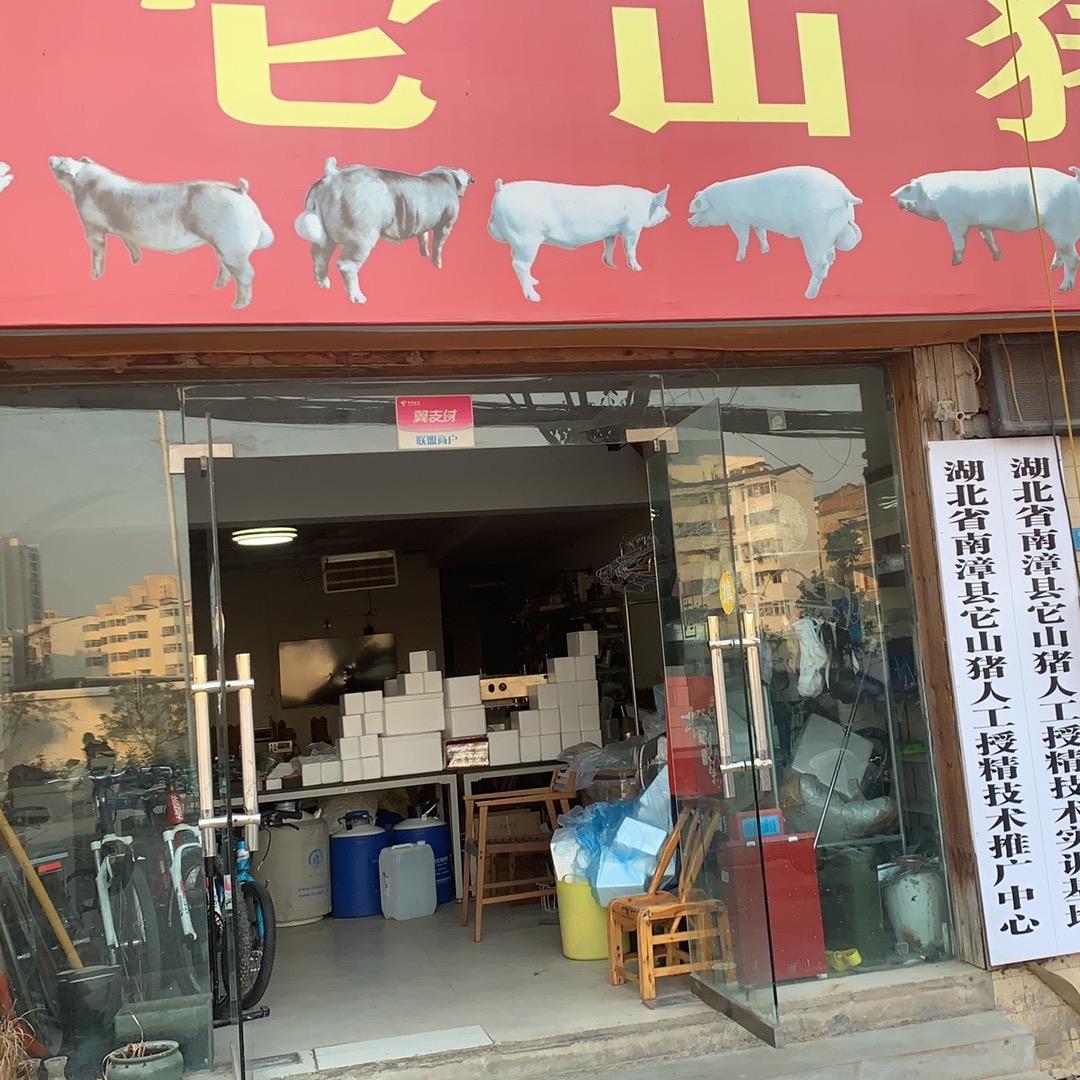 它山育种【铊山公猪站】