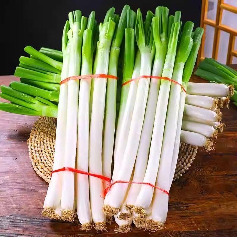 农家蔬菜产地直发（梓豪感恩有温度）