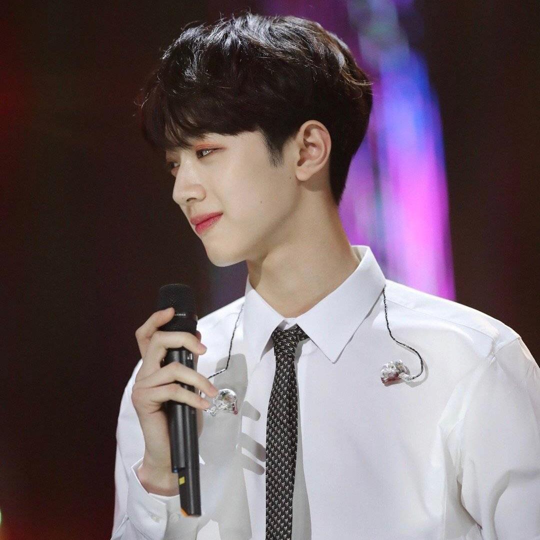 红鲤鱼绿鲤鱼与鱼