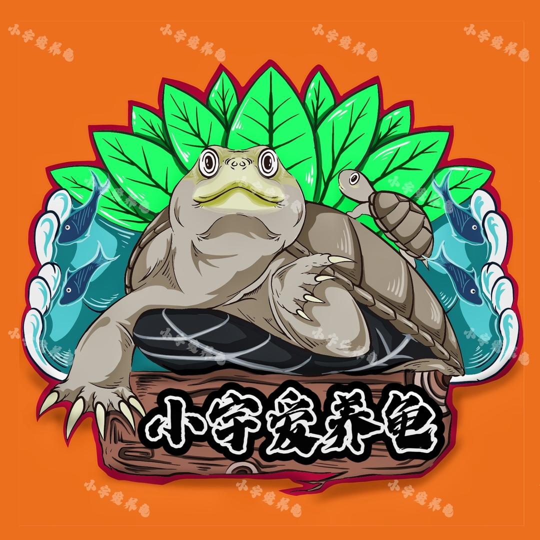 小宇爱养龟🐢