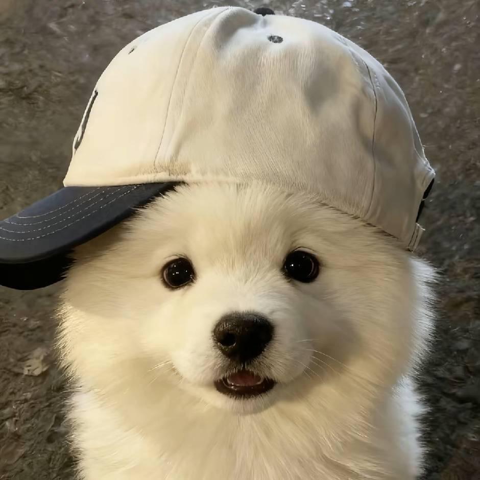 黔西约拍